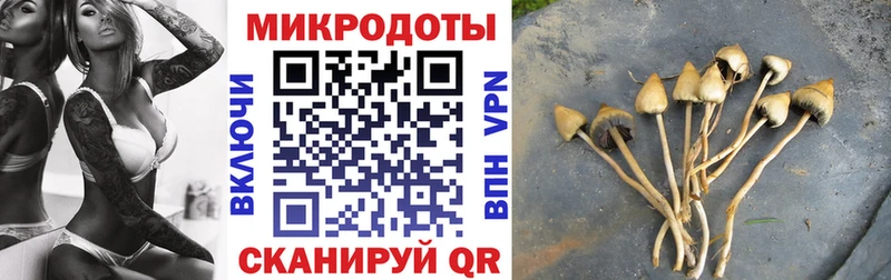 Псилоцибиновые грибы MAGIC MUSHROOMS  наркота  Курчатов 